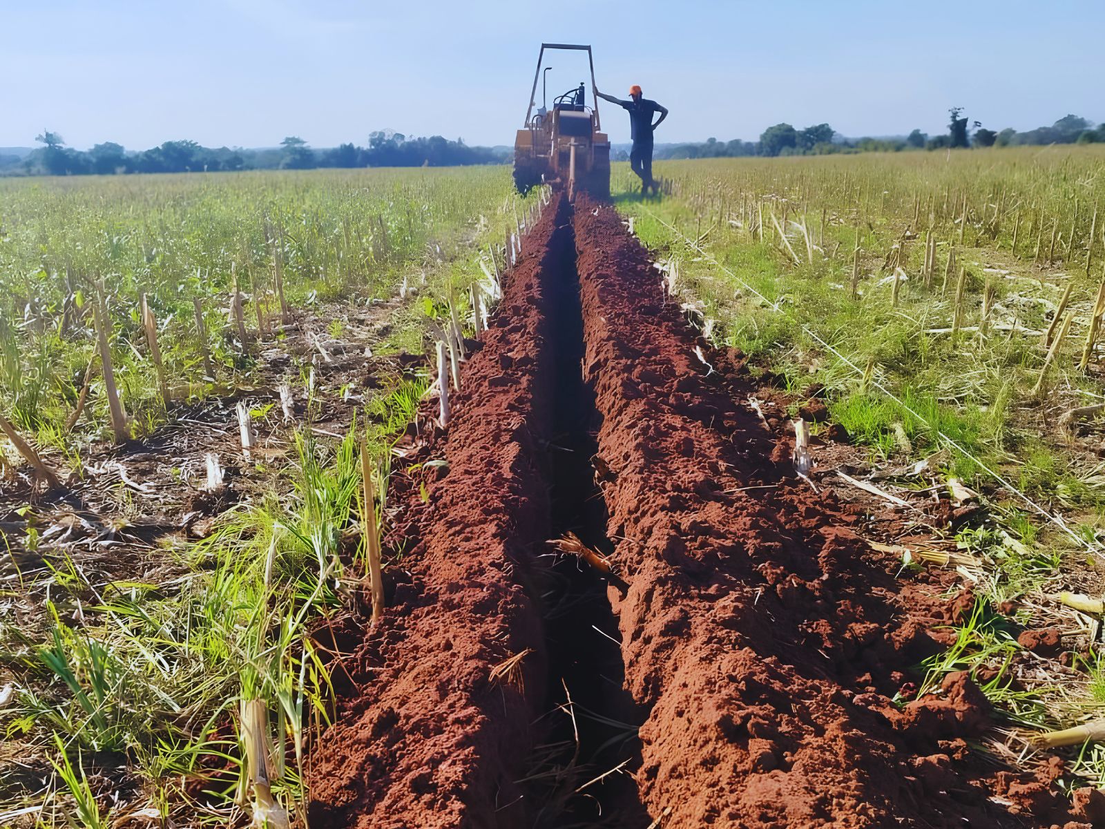 Caazapá, Distribución Agrícola — ESTEC